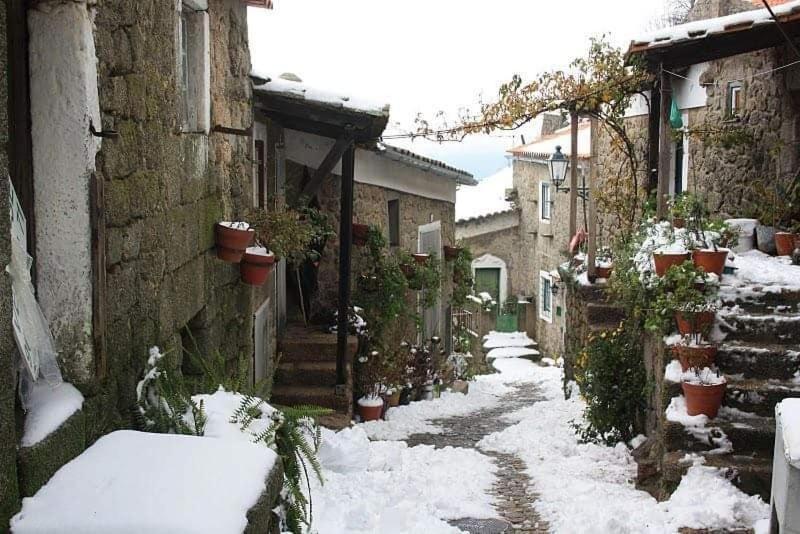 فيلا مونسانتوفي Casa Do Miradouro المظهر الخارجي الصورة